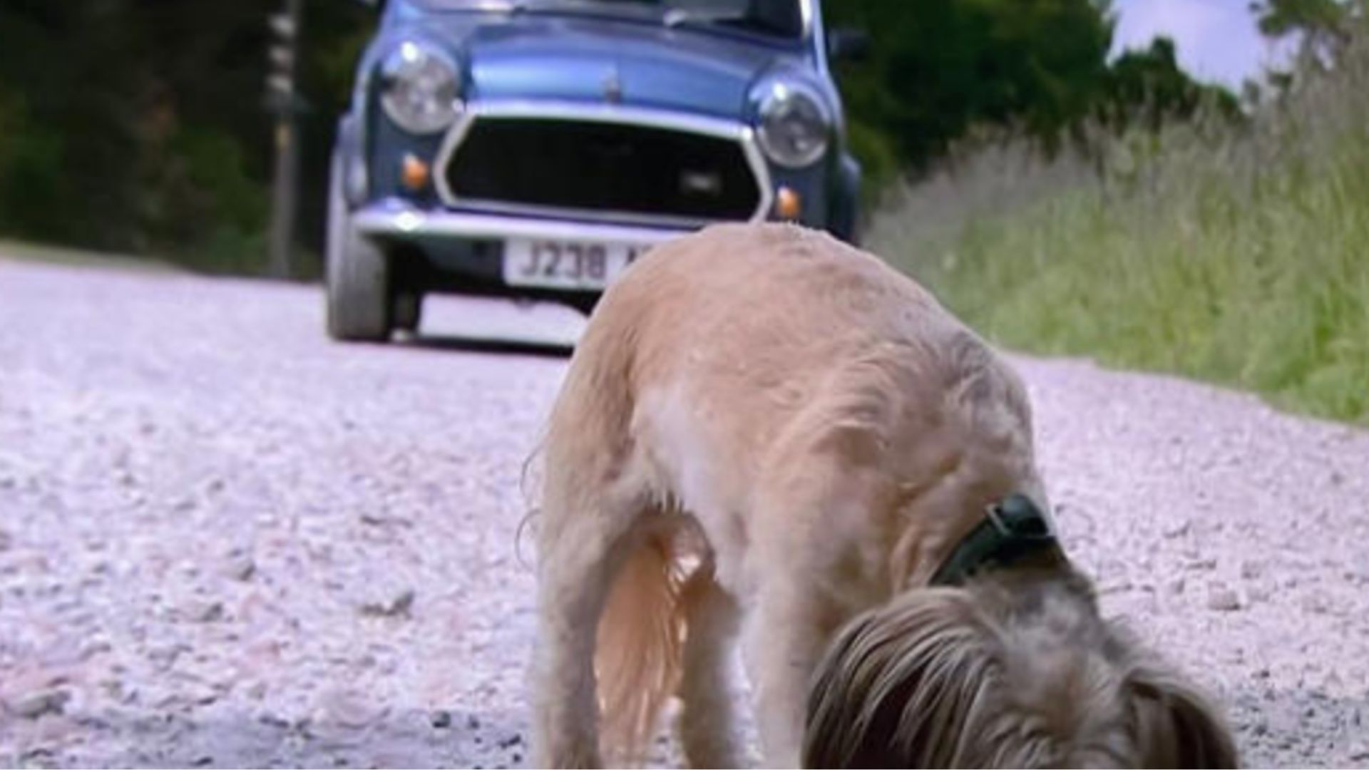 Tom&#039;s car behind Piper on the road on Emmerdale | Image Source: Channel 4