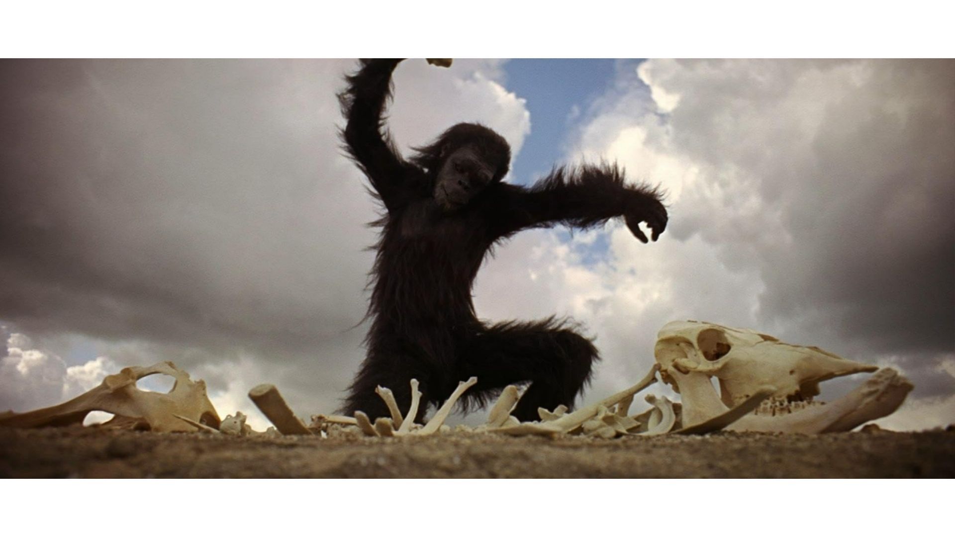 2001: A Space Odyssey (Image via Prime Video, Stanley Kubrick Productions)