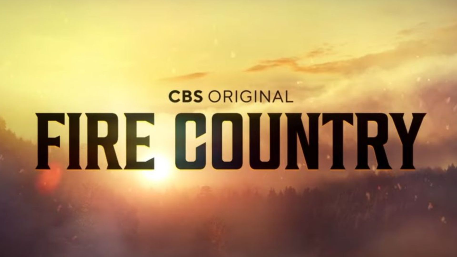 Viewers can watch Sharon back in her role as Cal Fire Division chief in season 3 | Image Source: CBS