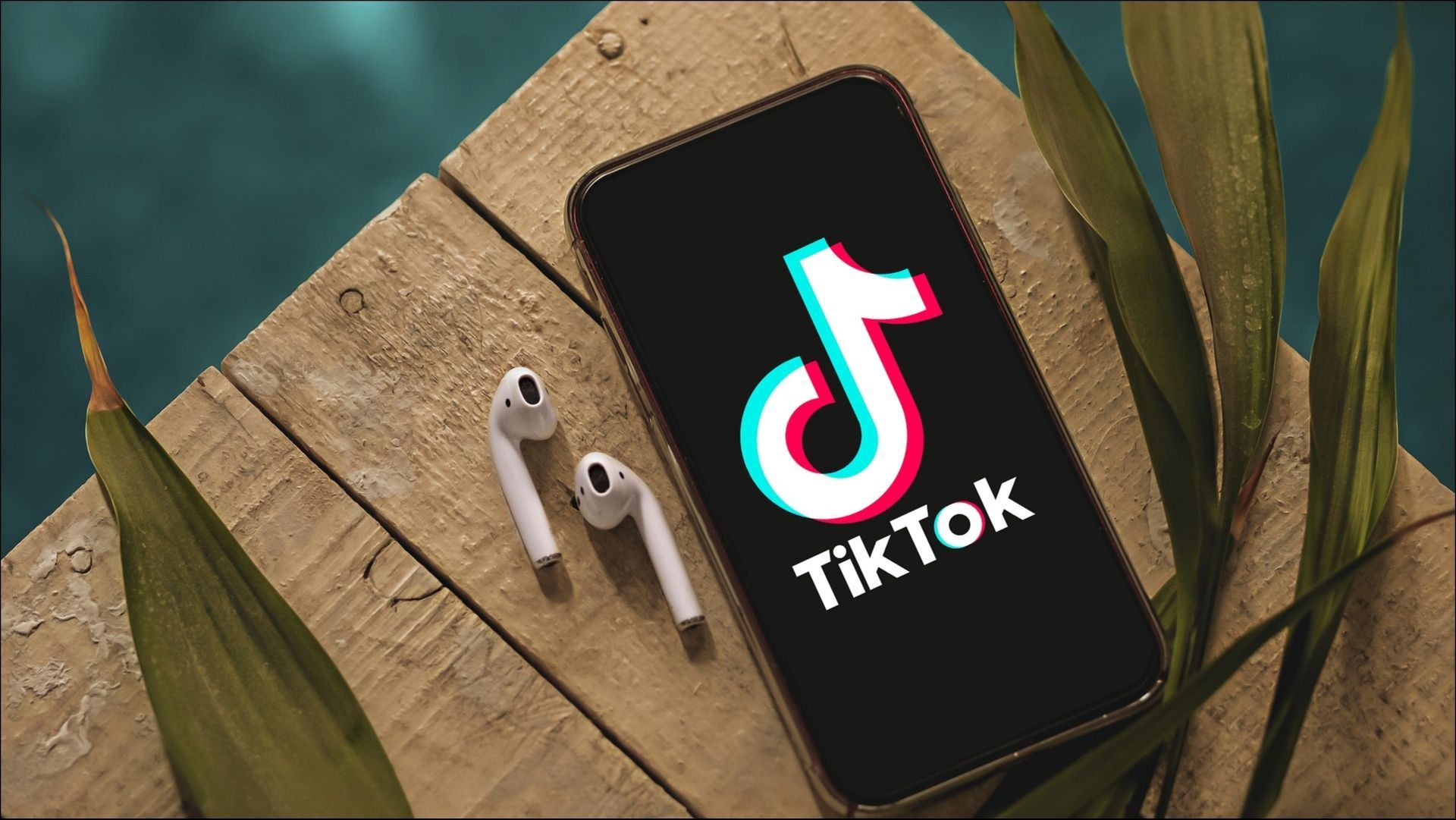 T&igrave;kTok Music will shut services starting November 28, 2024 (Image via Ariapsa/Pixabay)