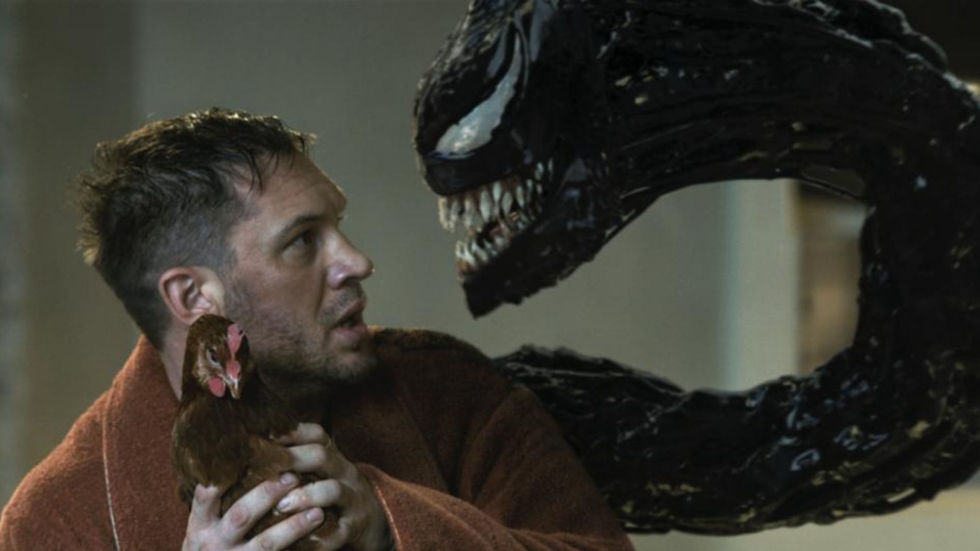 Eddie and Venom (Image Source Sony Pictures Releasing)