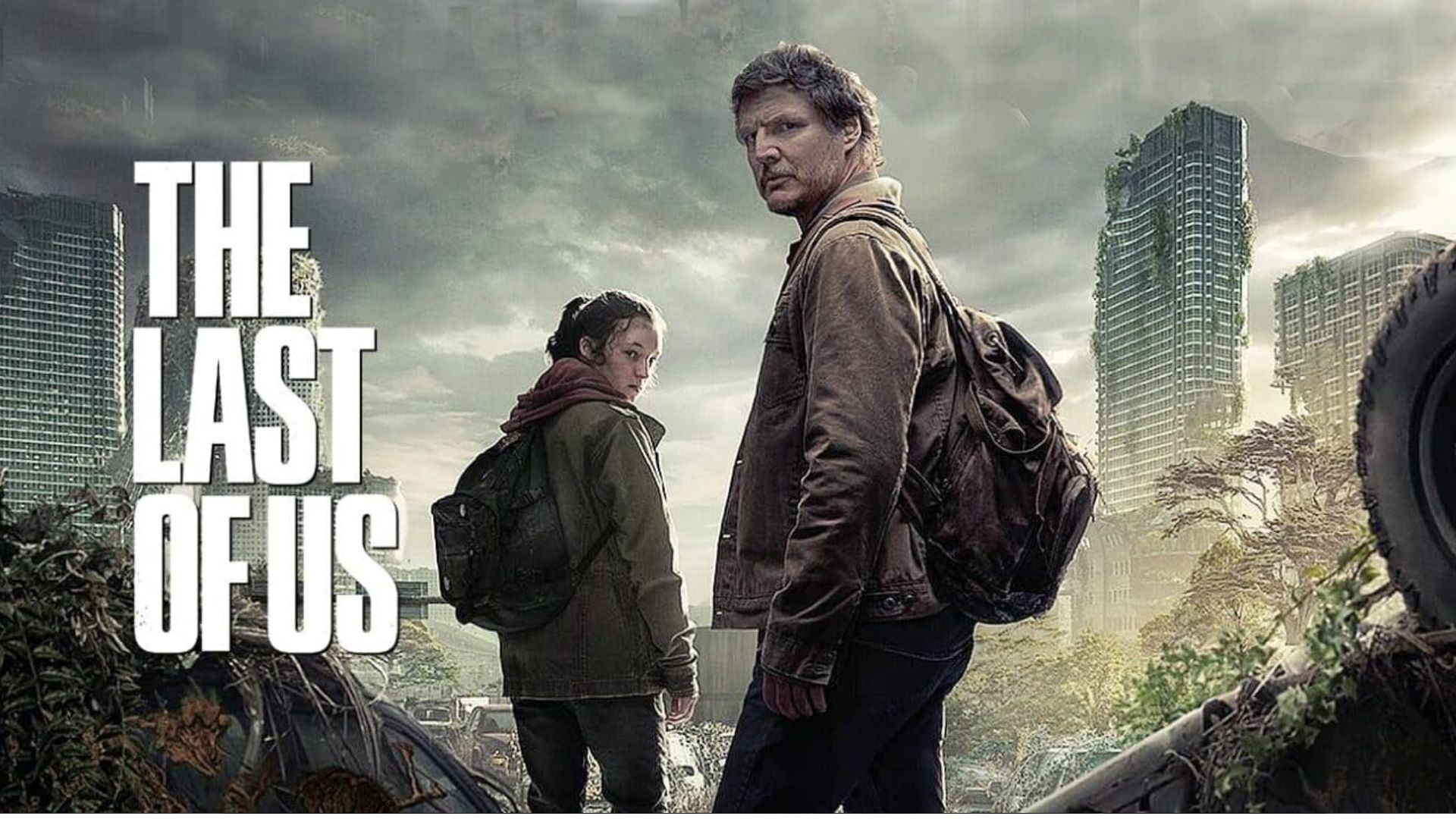 Cover from the last and only season of The Last of Us | Image Source: HBO