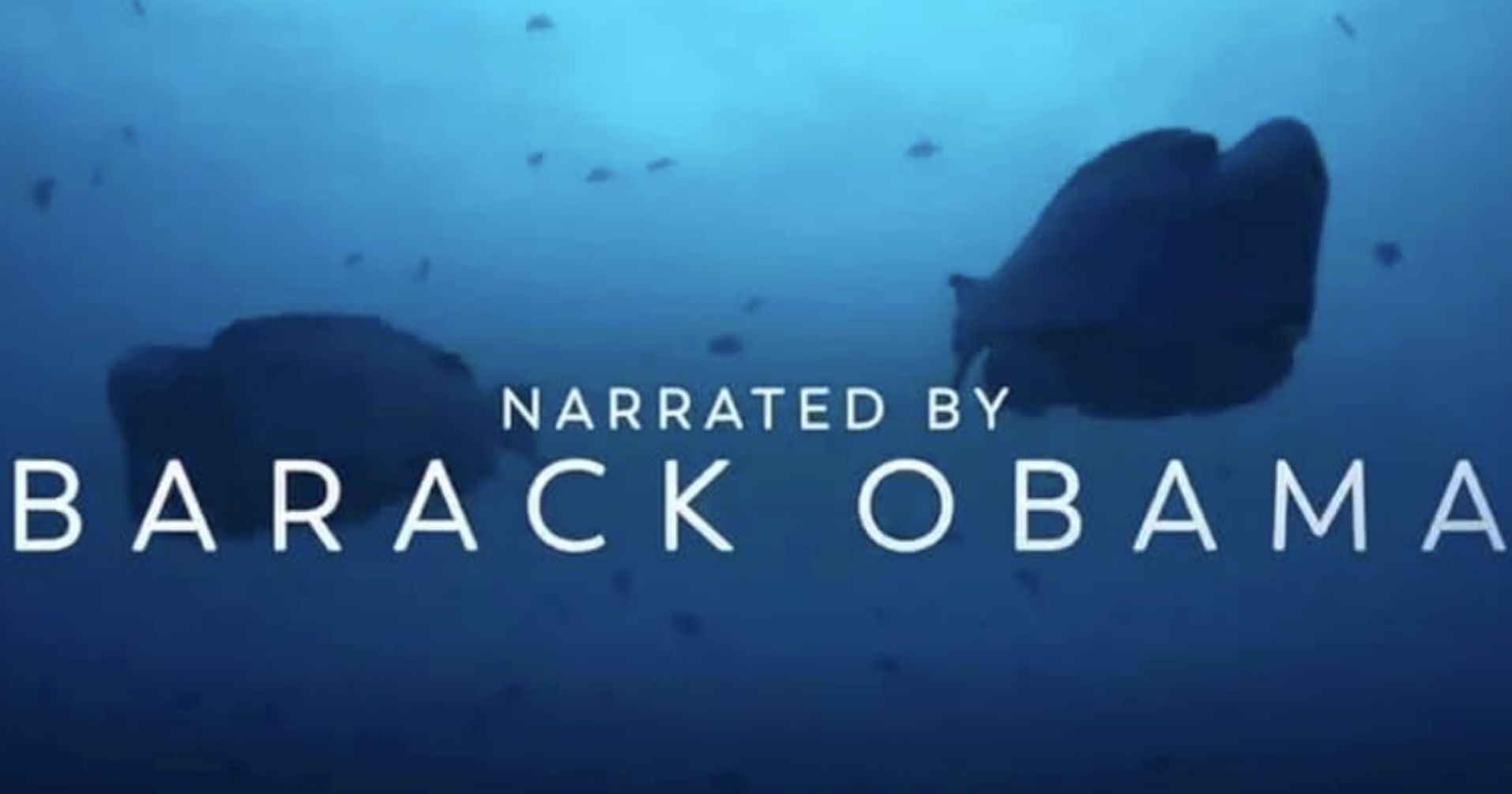 Barack Obama has narrated Netflix