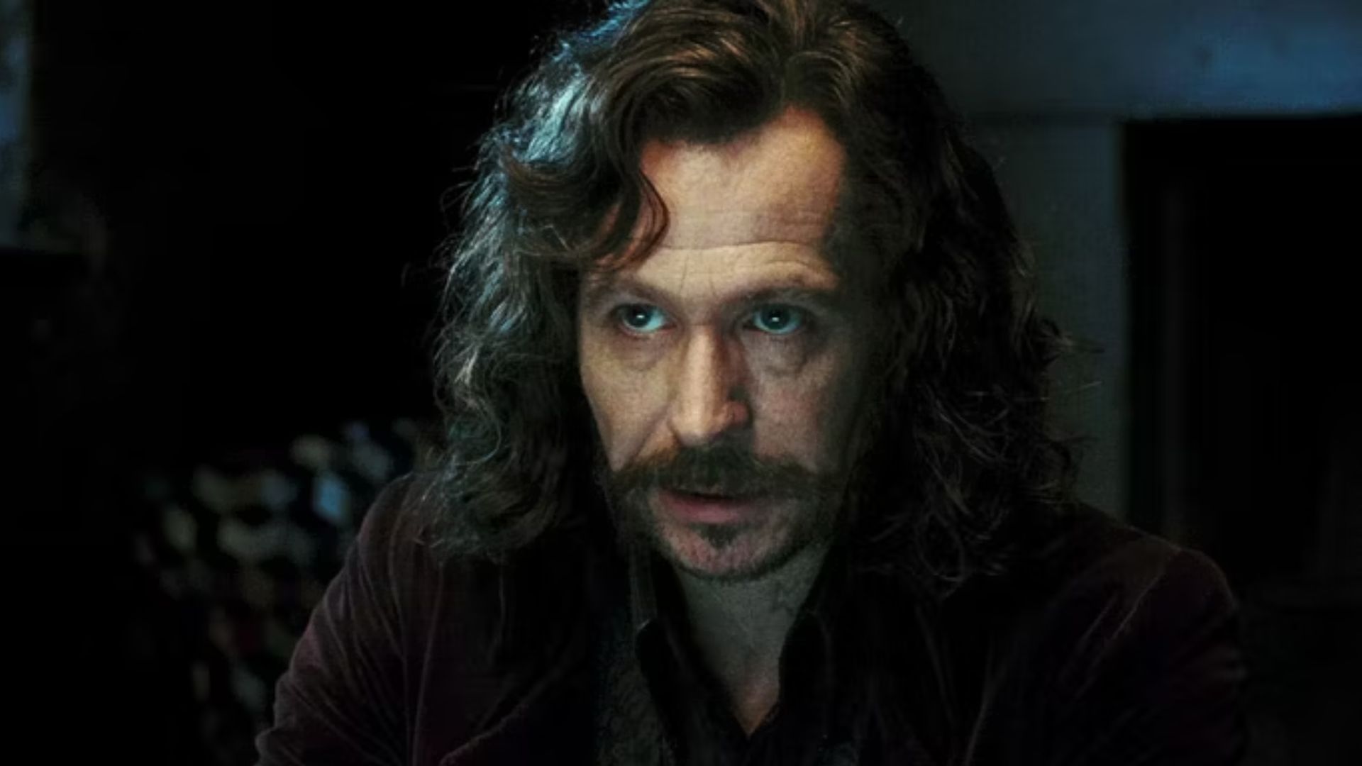 Gary Oldman wants to play Dumbledore (Image via Warner Bros. Discovery)