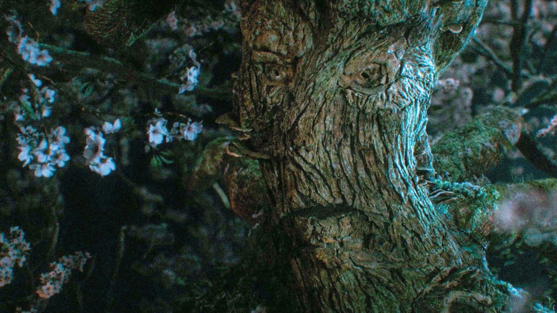 History of Ents impacts their present (Image via Prime Video)