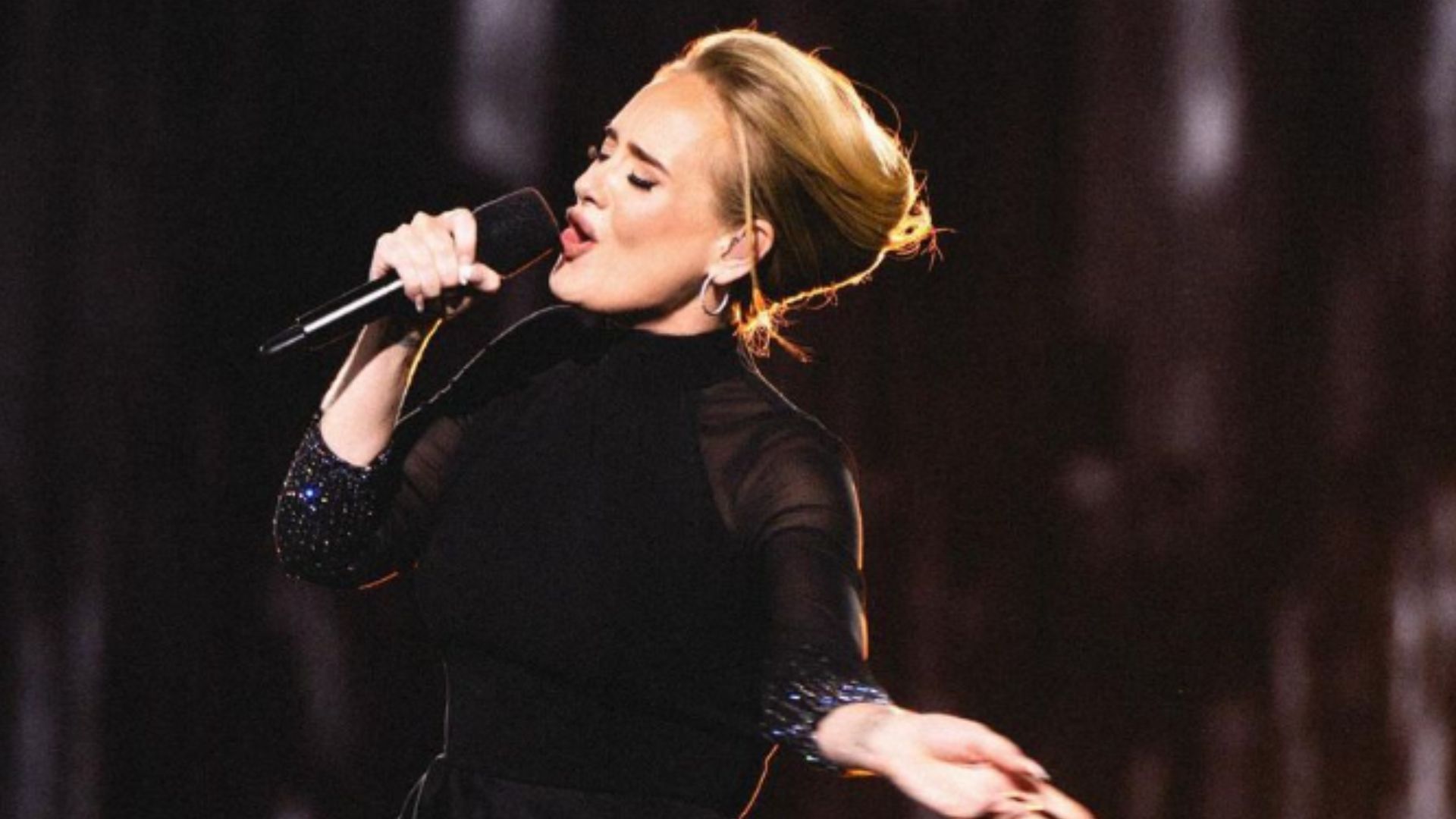 Did Adele use a homophobic slur while firing a t-shirt cannon on stage? (Image via Instagram/@adele)