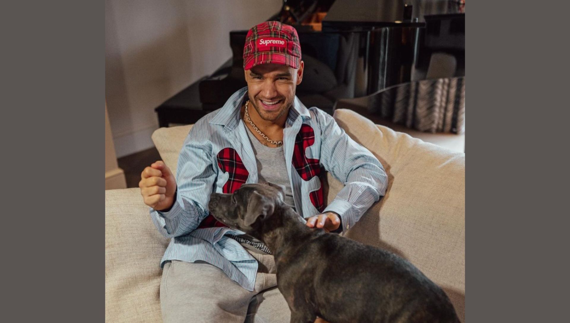 Liam Payne with his dog Stanley (Image via Instagram / @liampayne)