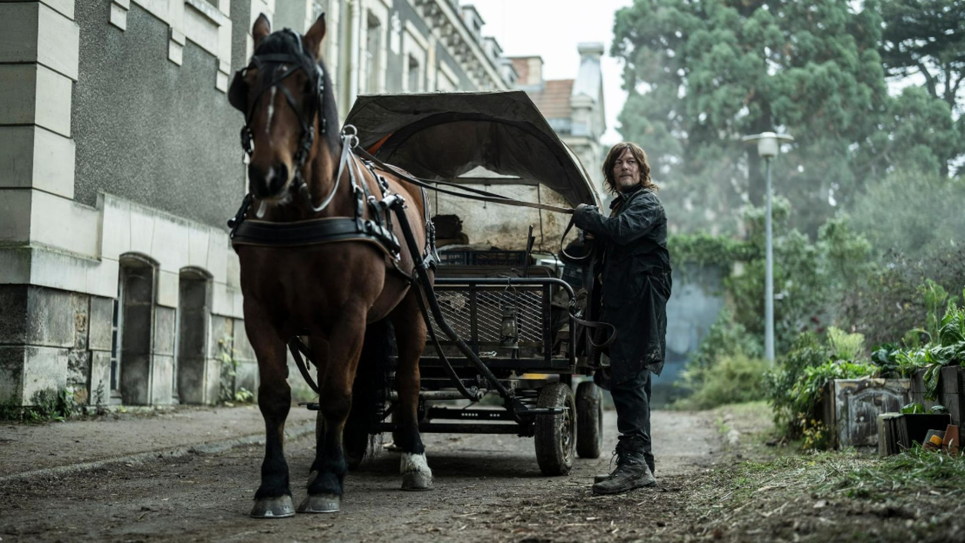 Norman Reedus in The Walking Dead: Daryl Dixon (Image via AMC)