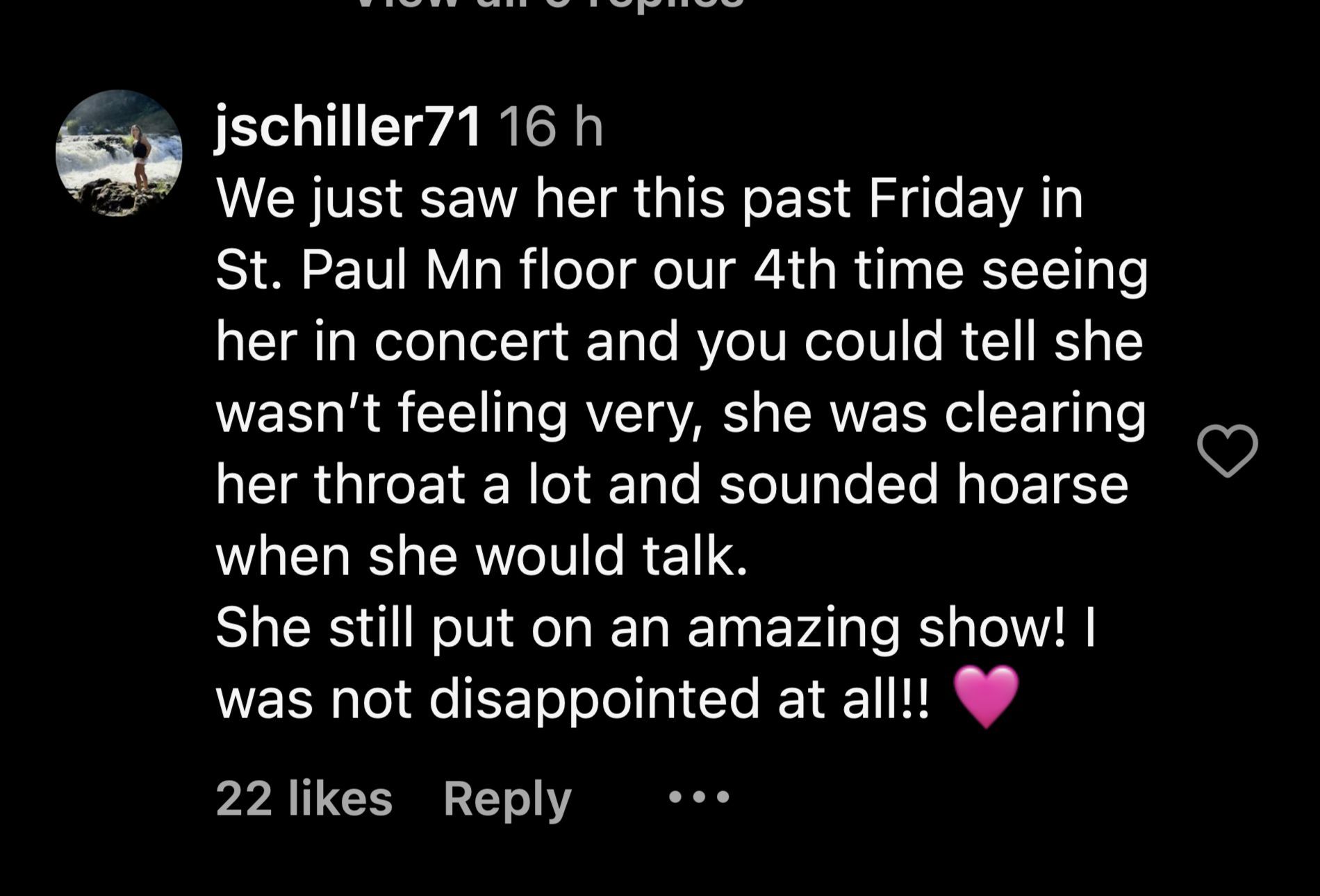 Fans&#039; comments on the singer&#039;s Instagram post (Image via Instagram/@pink)