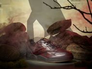 Dracula - “Boktober” collection