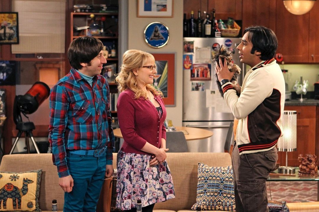 What is The Big Bang Theory about?