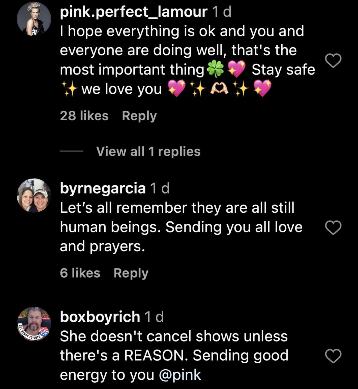 Fans&#039; comments on the singer&#039;s Instagram post (Image via Instagram/@pink)