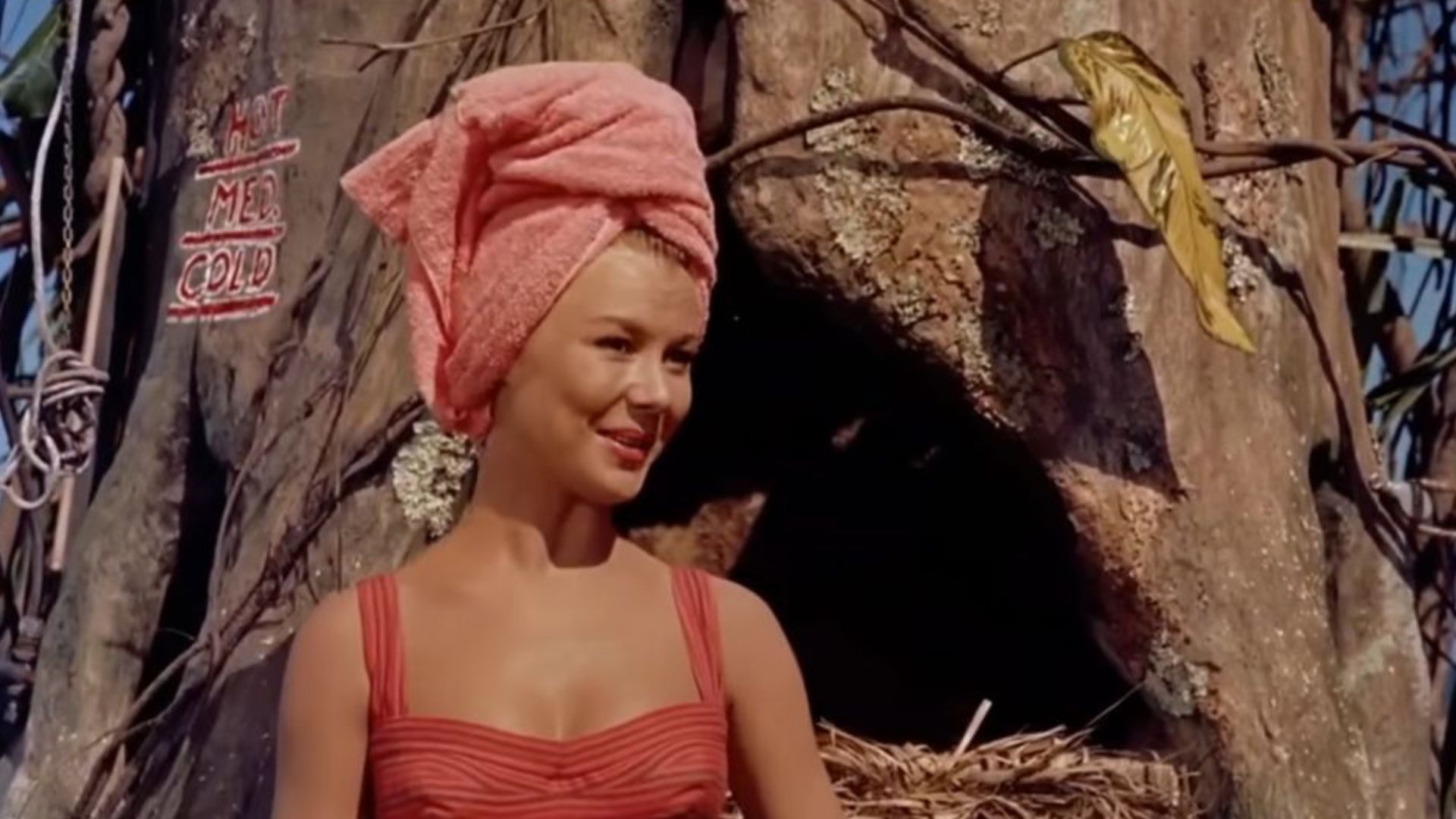  Mitzi Gaynor had a career that spanned over eight decades | Image Source: Youtube/ Rodgers &amp; Hammerstein