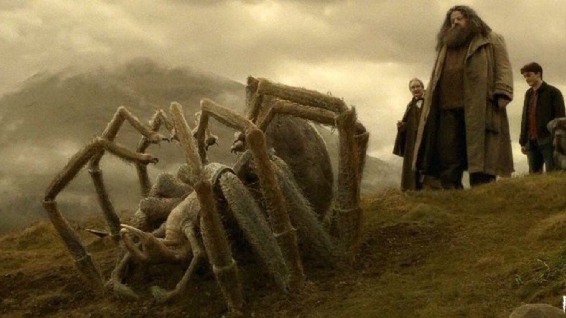 A giant spider who was mysteriously smart | Image Source: Warner Bros