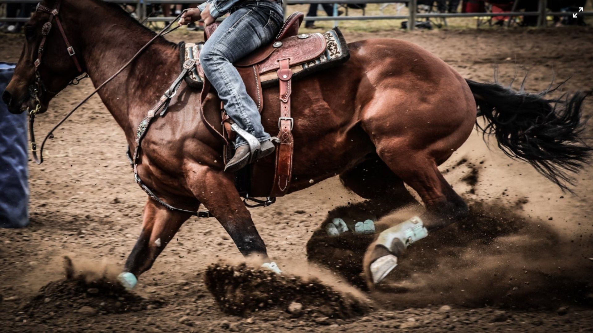 Braden Johns critically injured after accident (Representative Image Lee Pigot/Unsplash)