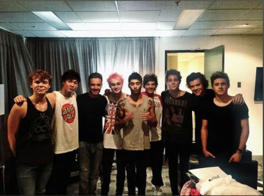 All 9 members of 5 Seconds of Summer and One Direction (Image via Instagram/@5sos)