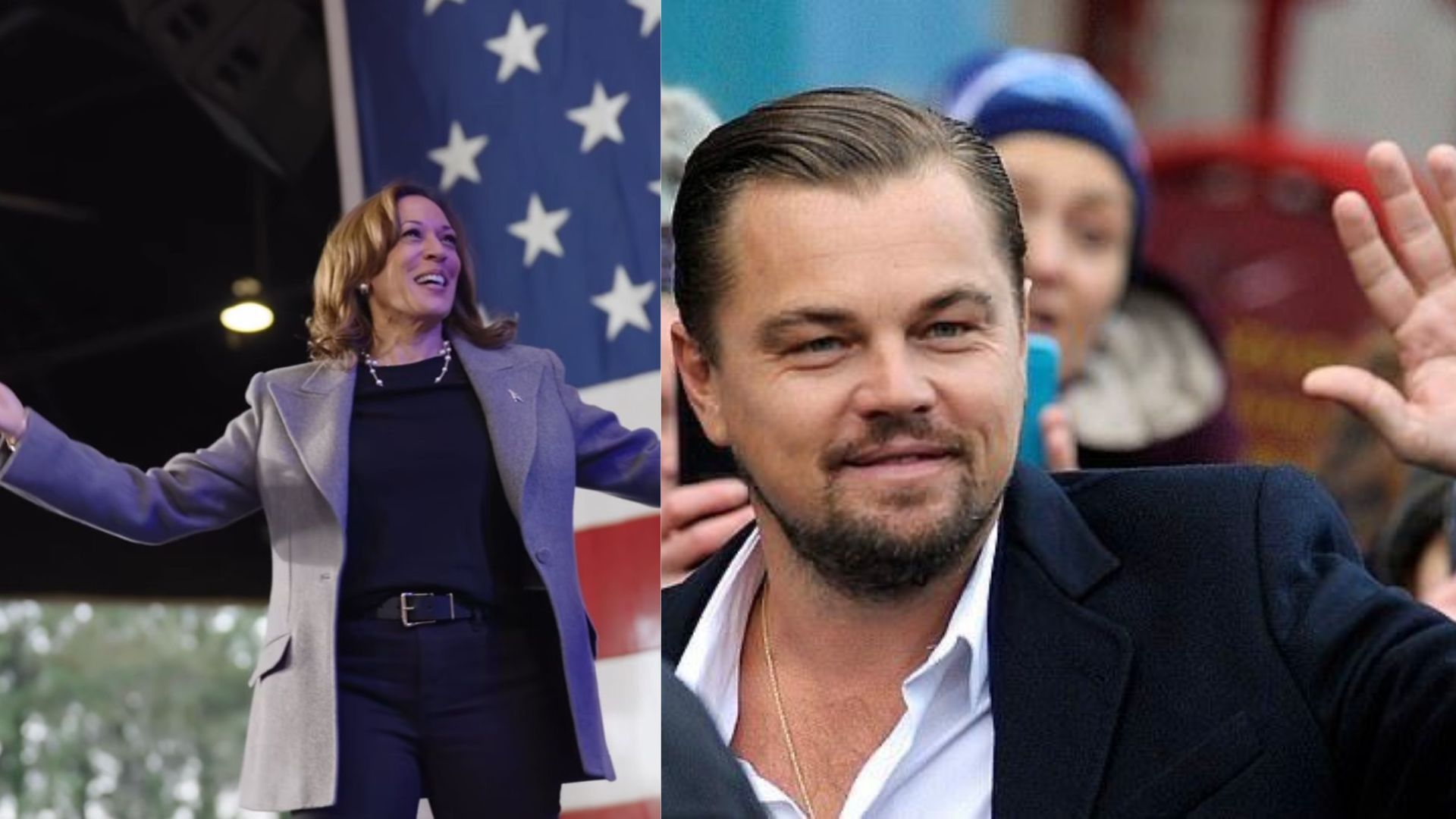 Kamala Harris/ Leonardo DiCaprio (Image via Instagram/ Getty @Jeff J Mitchell)