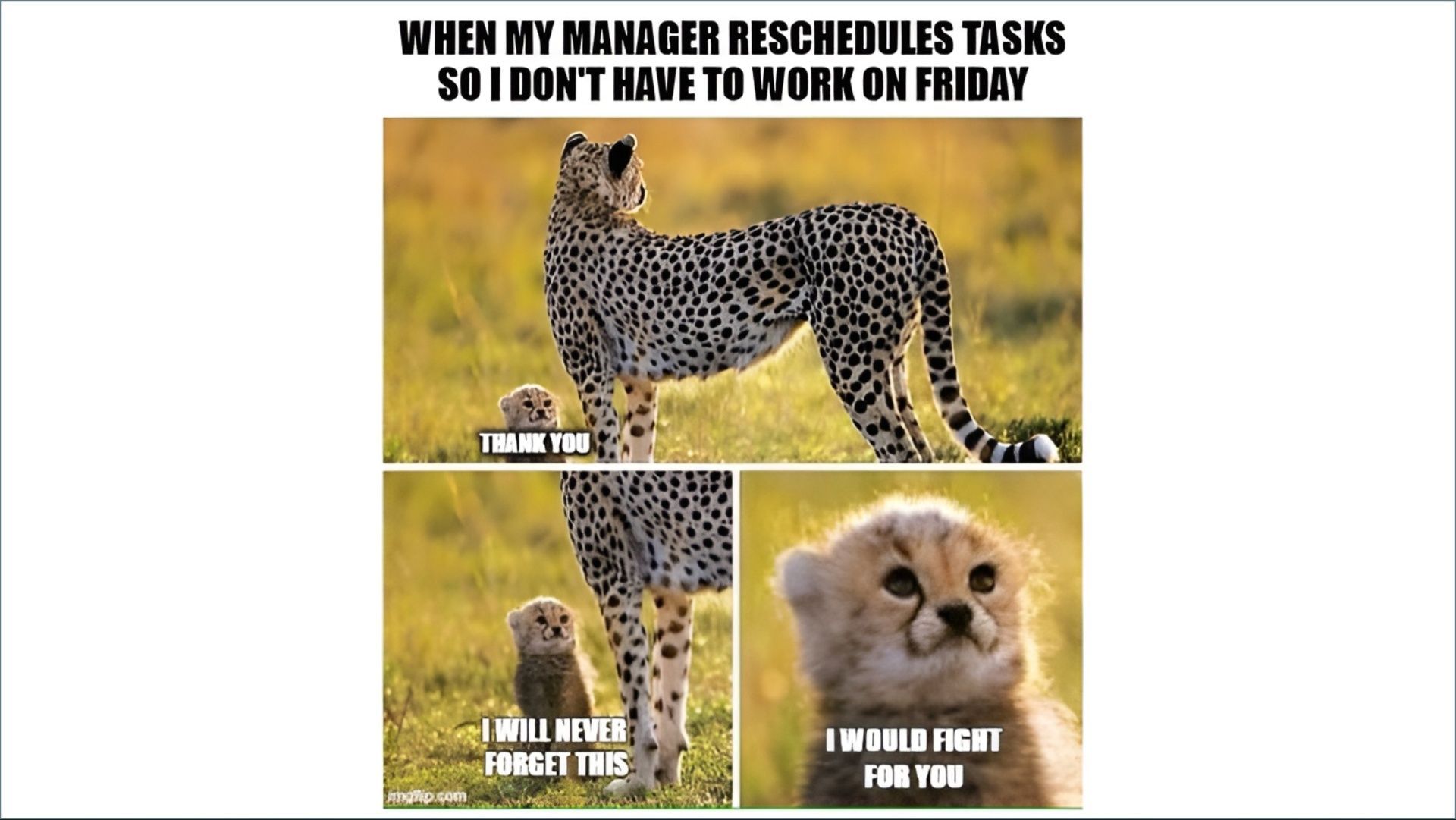 Meme about Friyay tasks and manger-employee relations (Image via imgflip.com)