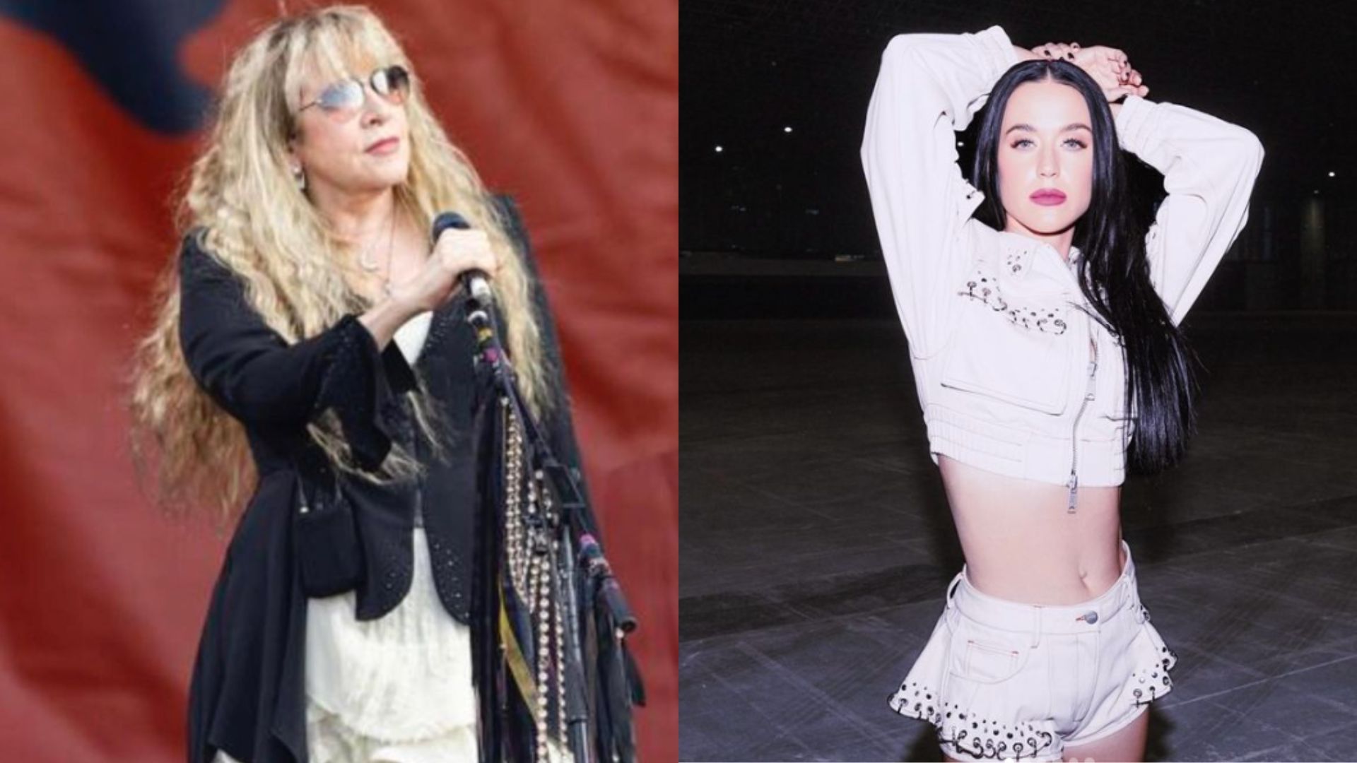 Internet reacts to Stevie Nicks advising Katy Perry to get off the internet in order to have no rivals (Images via Instagram/@stevienicks and @katyperry)