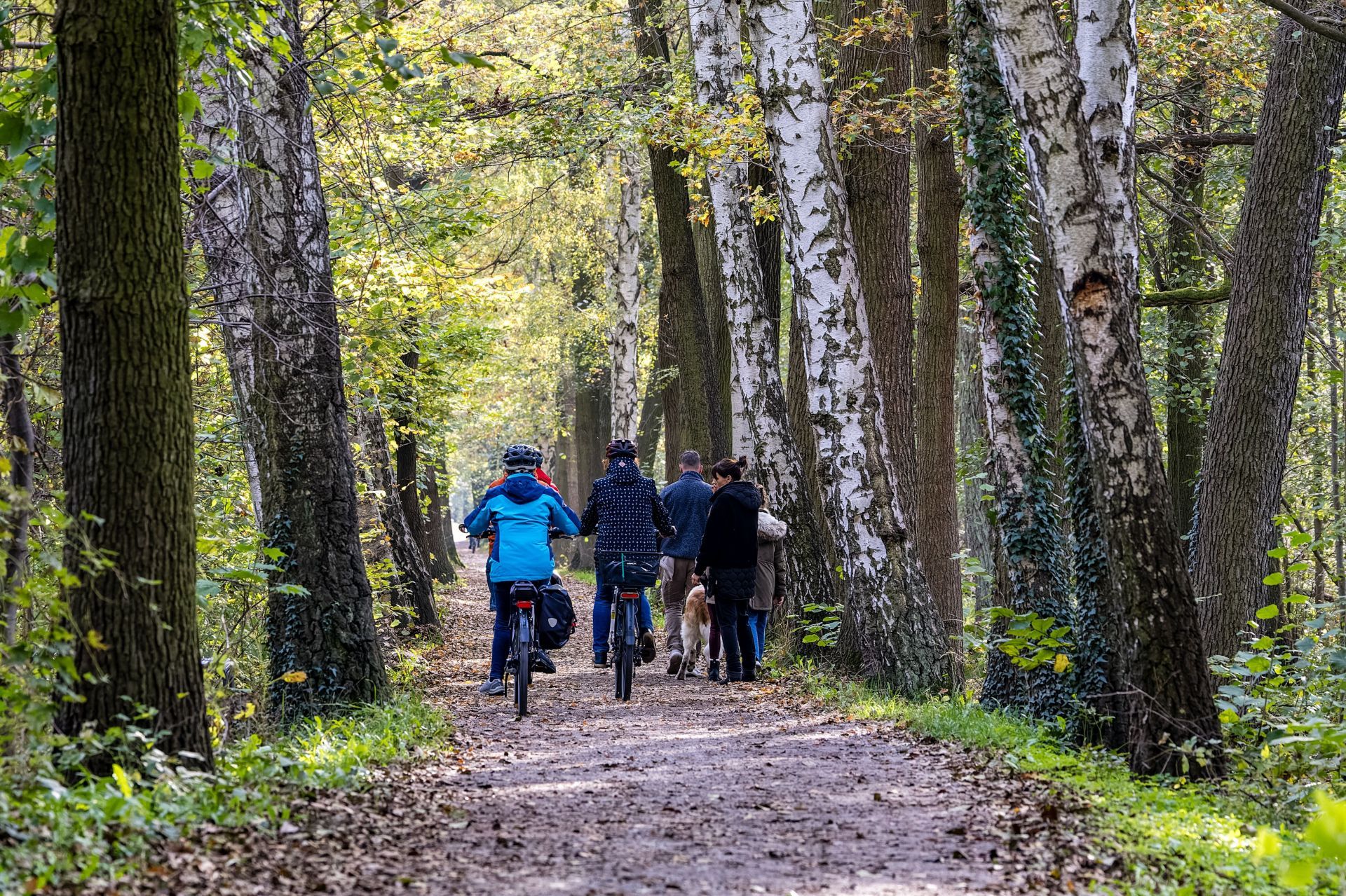 Autumn in the Spreewald - Source: Getty