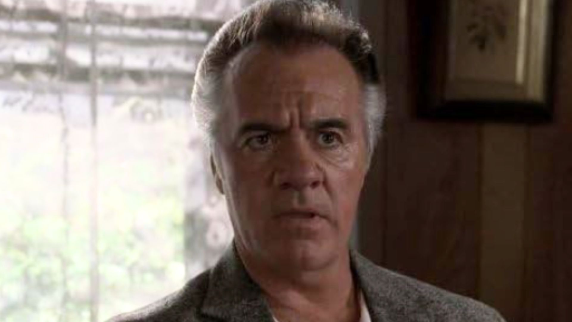 Tony Sirico in Sopranos (Image via HBO)