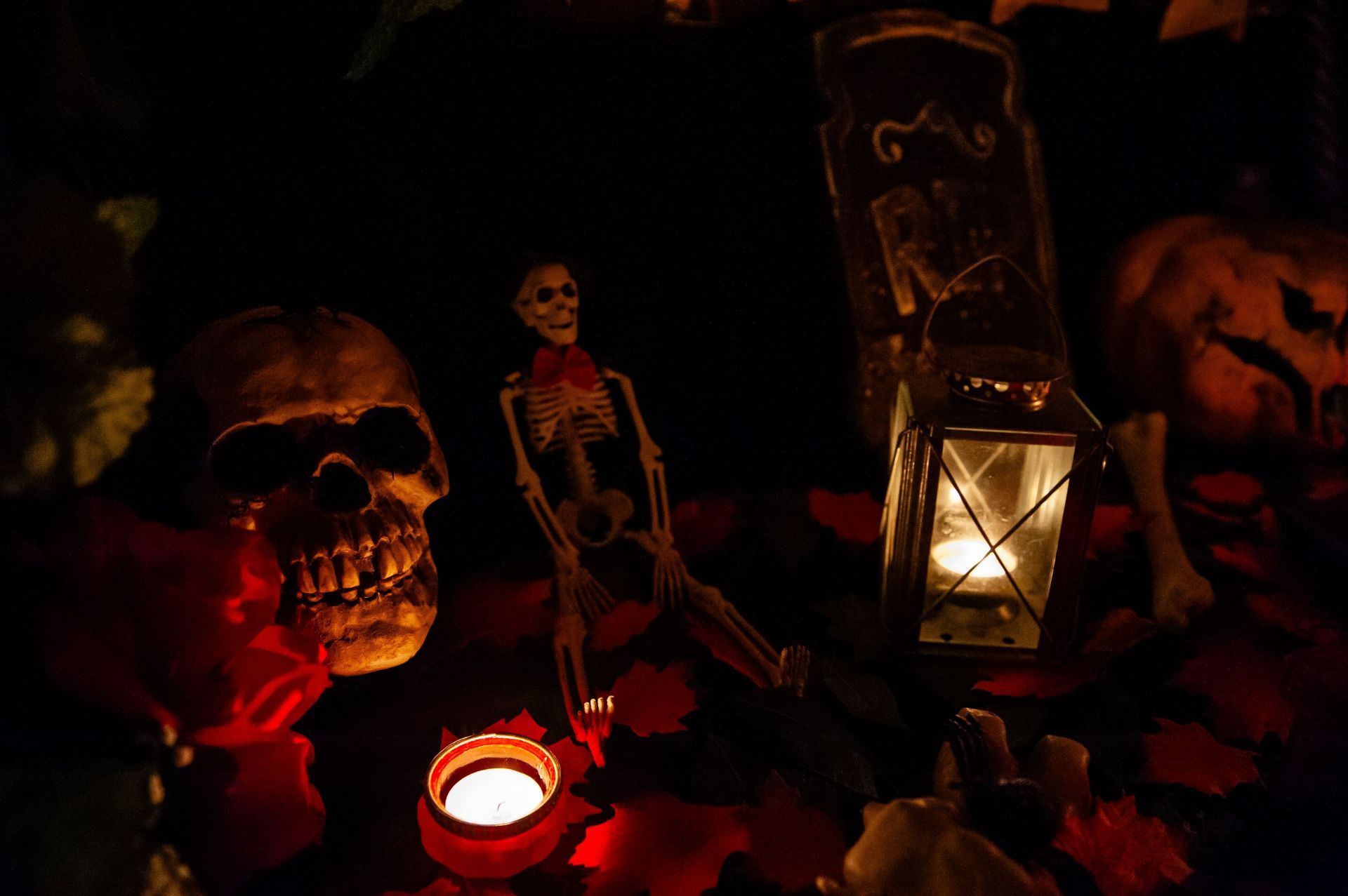 Collecting And Carving Pumpkins For Halloween Night. - Source: Getty