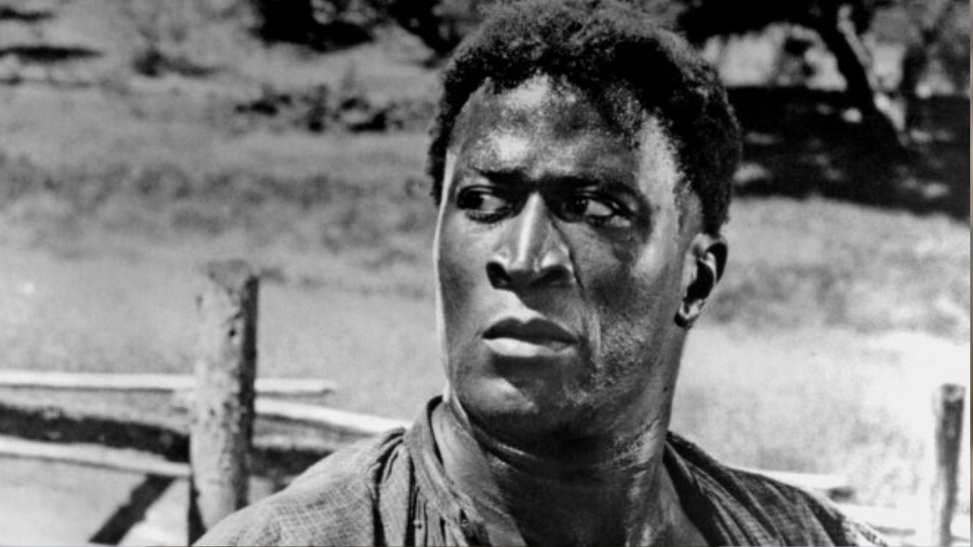 John Amos in Roots (Image Source - ABC)