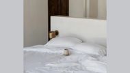 Signature Sateen Basic CleanBamboo® Bedding Bundle (Image by ettitude)