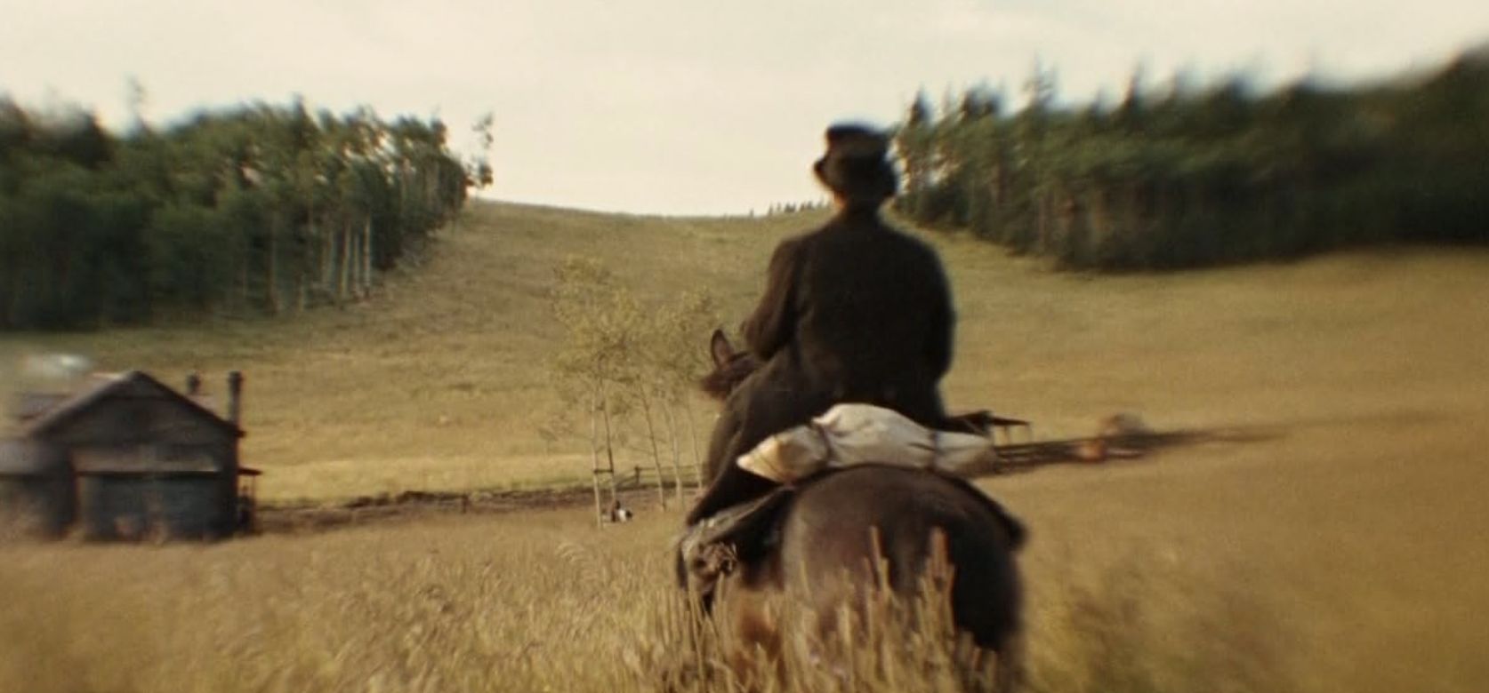 The Assassination of Jesse James by the Coward Robert Ford (2007) - Distributor: Warner Bros. Pictures