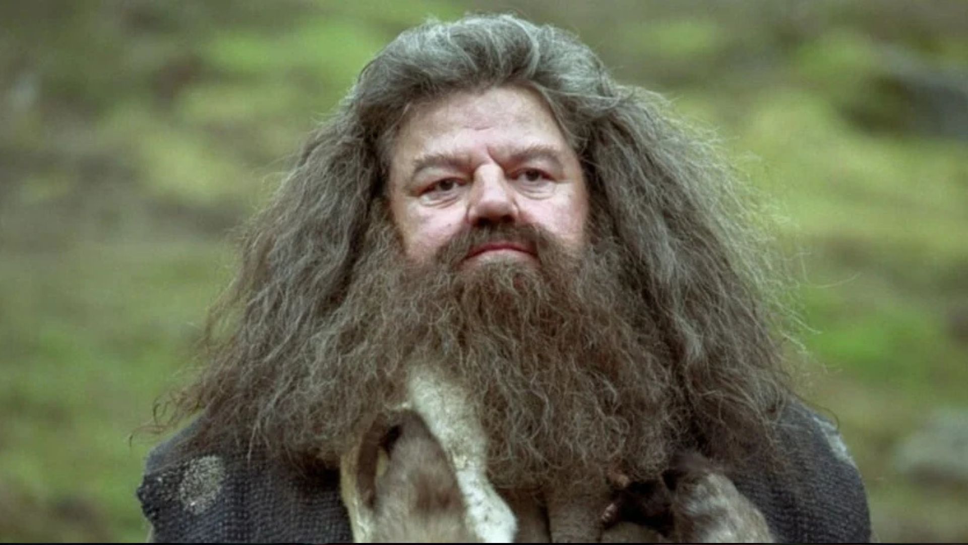 Robbie Coltrane as Rubeus Hagrid | Image Source: Warner Bros.