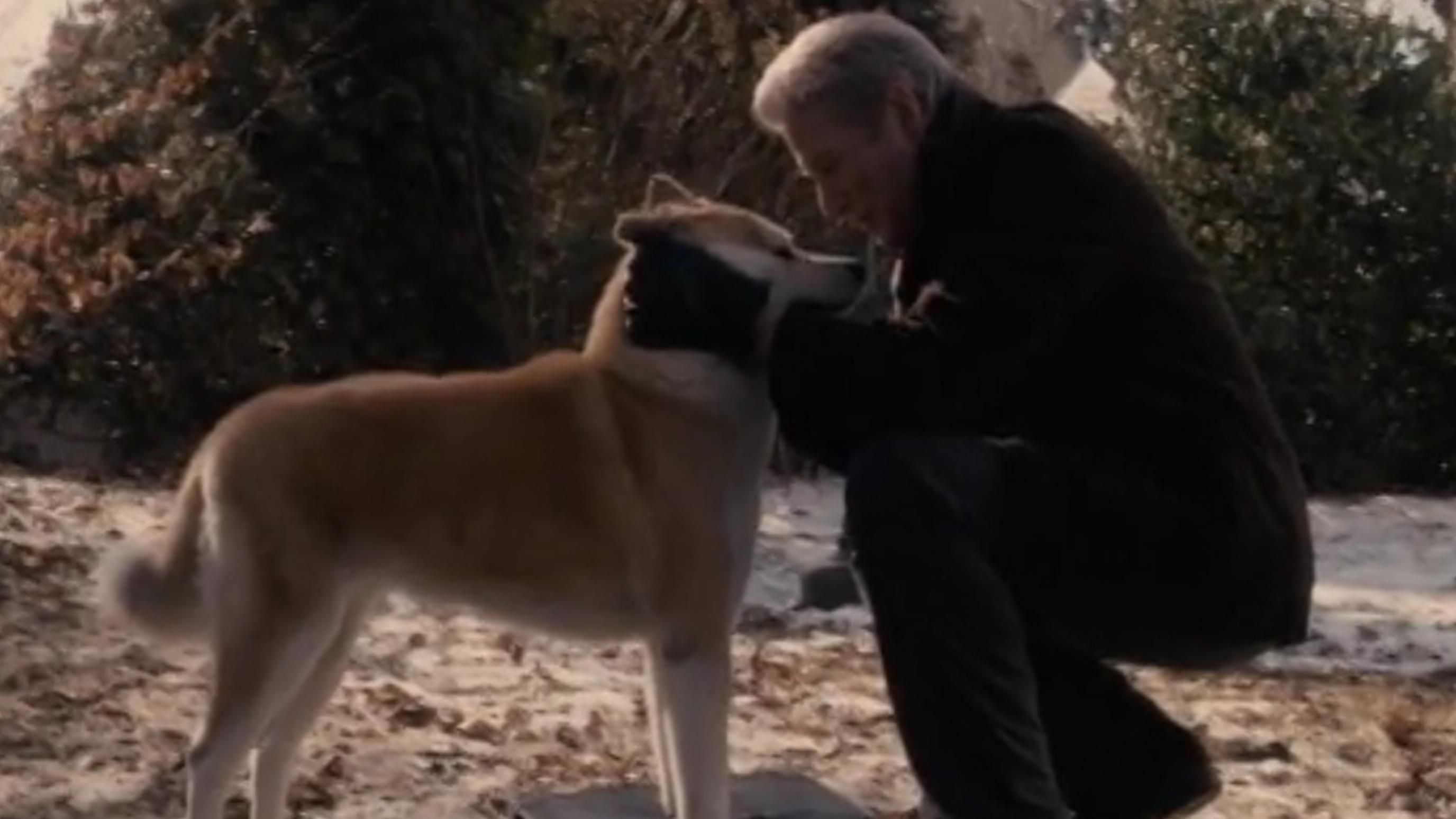 Hachi: A Dog&#039;s Tale (2009) | Image Source: Sony Pictures