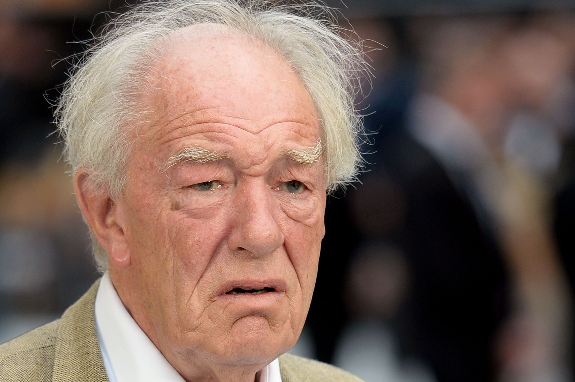 Albus Dumbledore portrayed by Michael Gambon - Source: Getty