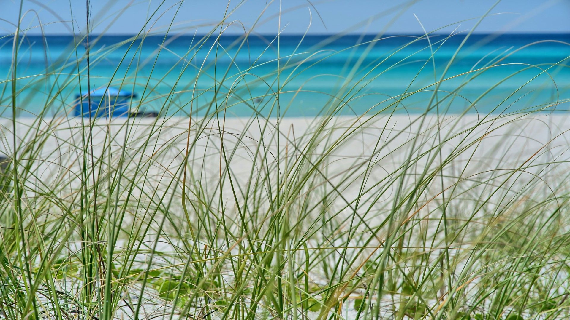 Head found on South Florida Beach identified as Victor Castaneda (Representational image via Michael Monahan/UnSplash)