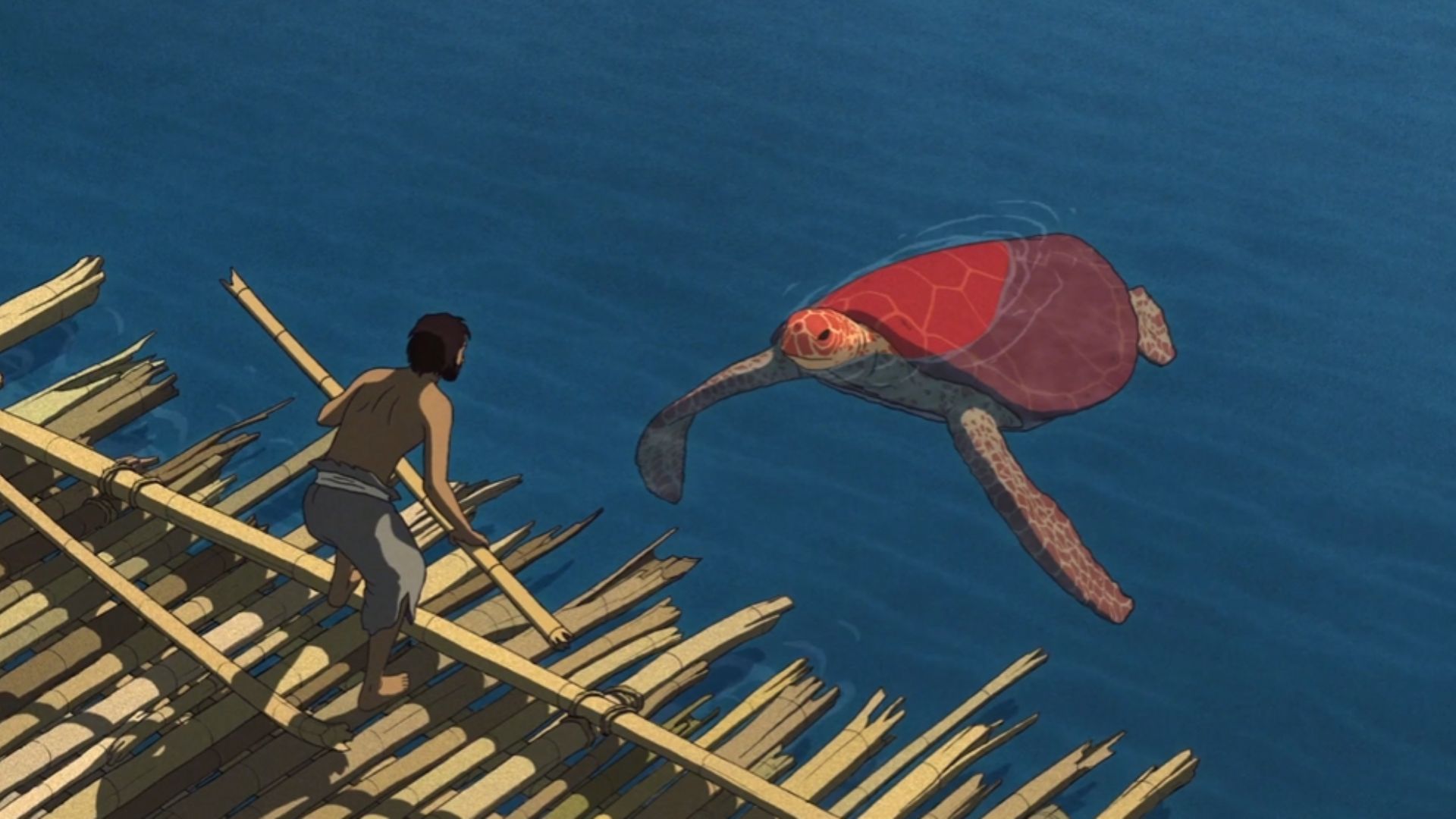 A mysterious red turtle changes the castaway&#039;s fate from the movie &quot;The Red Turtle&quot; / Image Source: Sony Pictures Classics