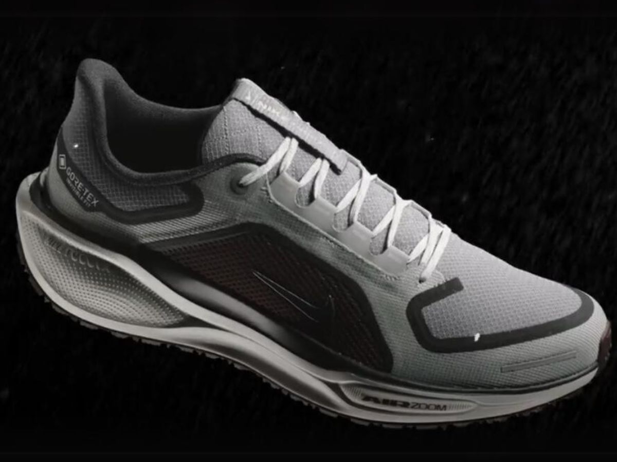 Nike Air Zoom Pegasus 41 GORE-TEX sneakers (image via Nike)