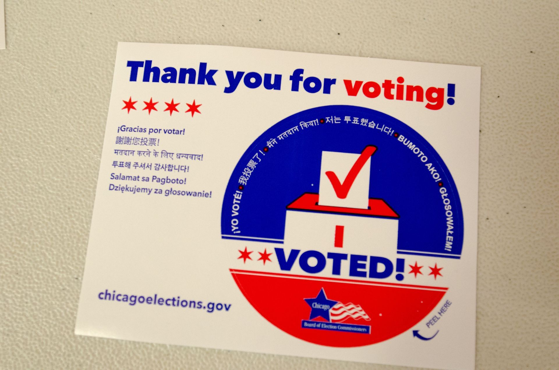 Americans in Chicago cast ballots in early voting for US presidential election. (Photo by Jacek Boczarski/Anadolu via Getty Images)