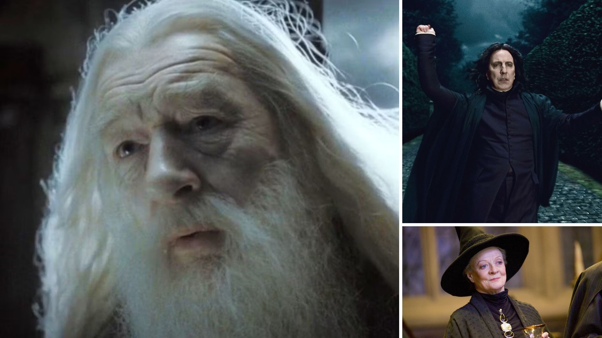 20 Harry Potter actors that we lost | Image Source: Warner Bros.