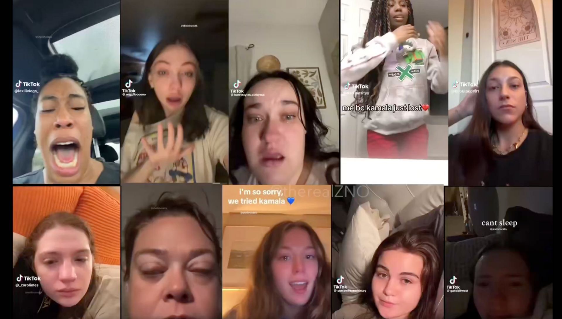 Screenshot of a video compilation showing Kamala Harris supporters weeping (Image via X / @libsofTikTok)