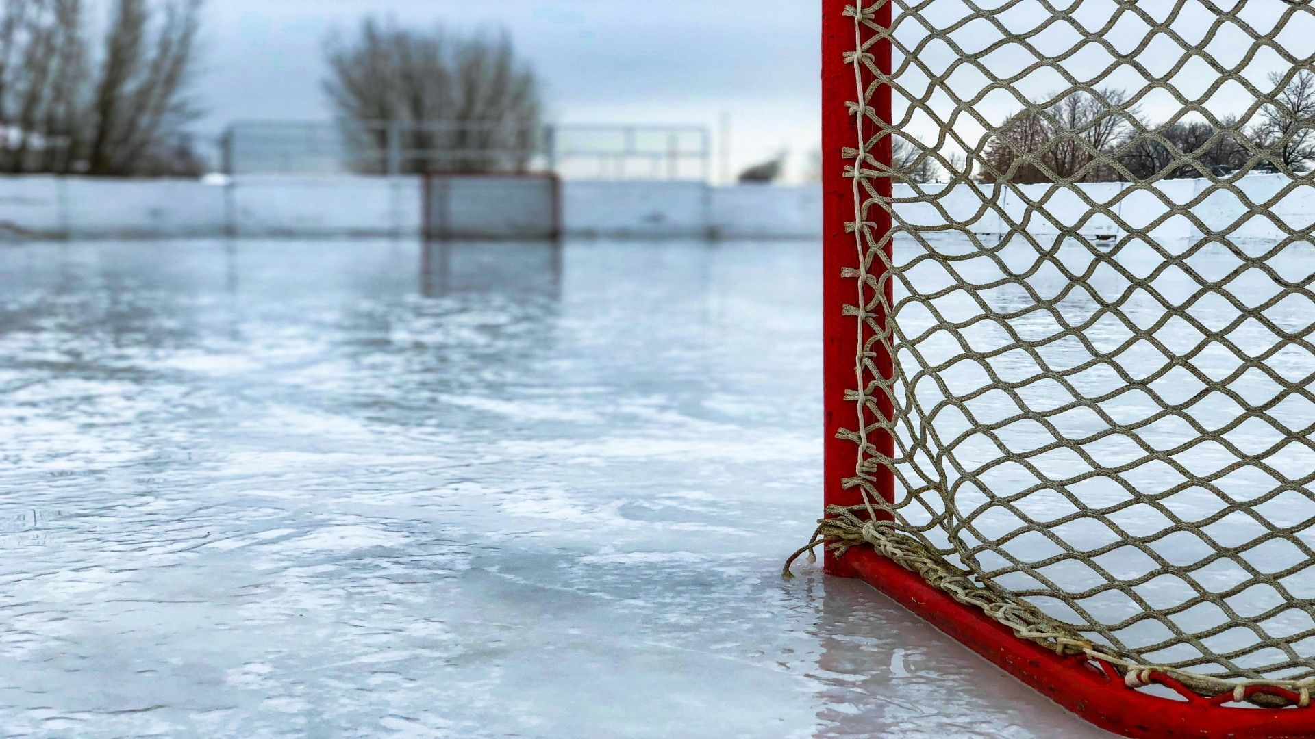 Hockey player Colin Brown passes away (Image via Chris Liverani/Unsplash)