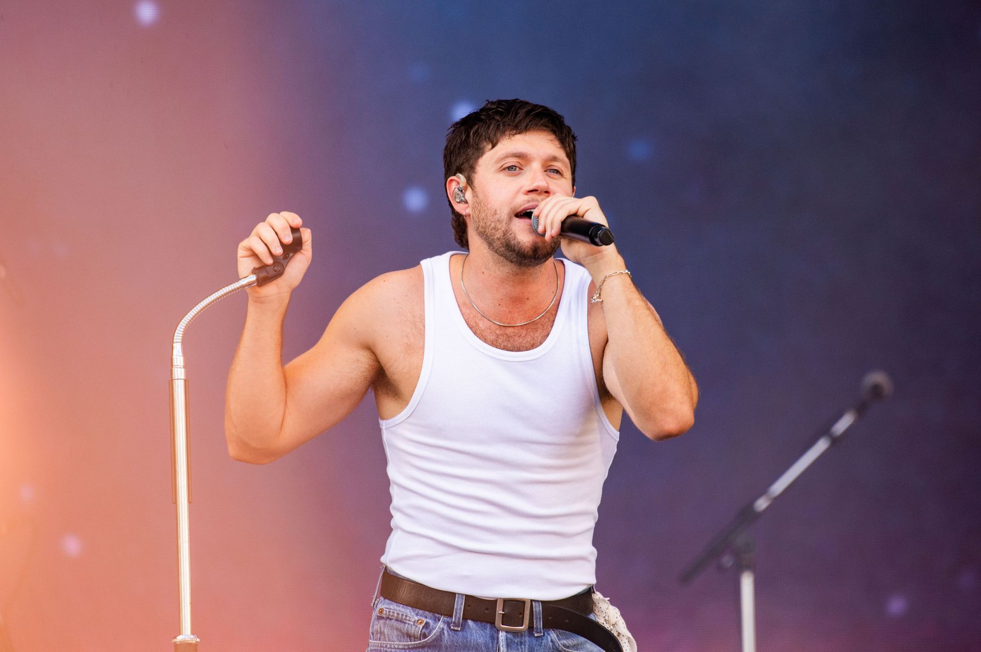 Niall Horan (Photo by Joseph Okpako/WireImage)