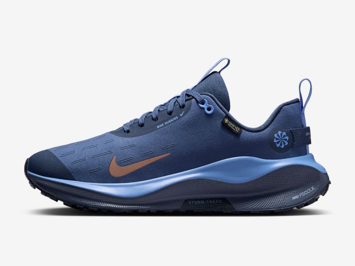 Nike InfinityRN 4 GORE-TEX sneaker (image via Nike)