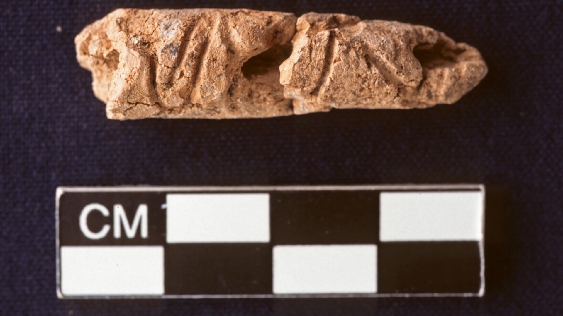 The finger-sized clay cylinder found in a tomb at Umm el-Marra (Image via Johns Hopkins University)