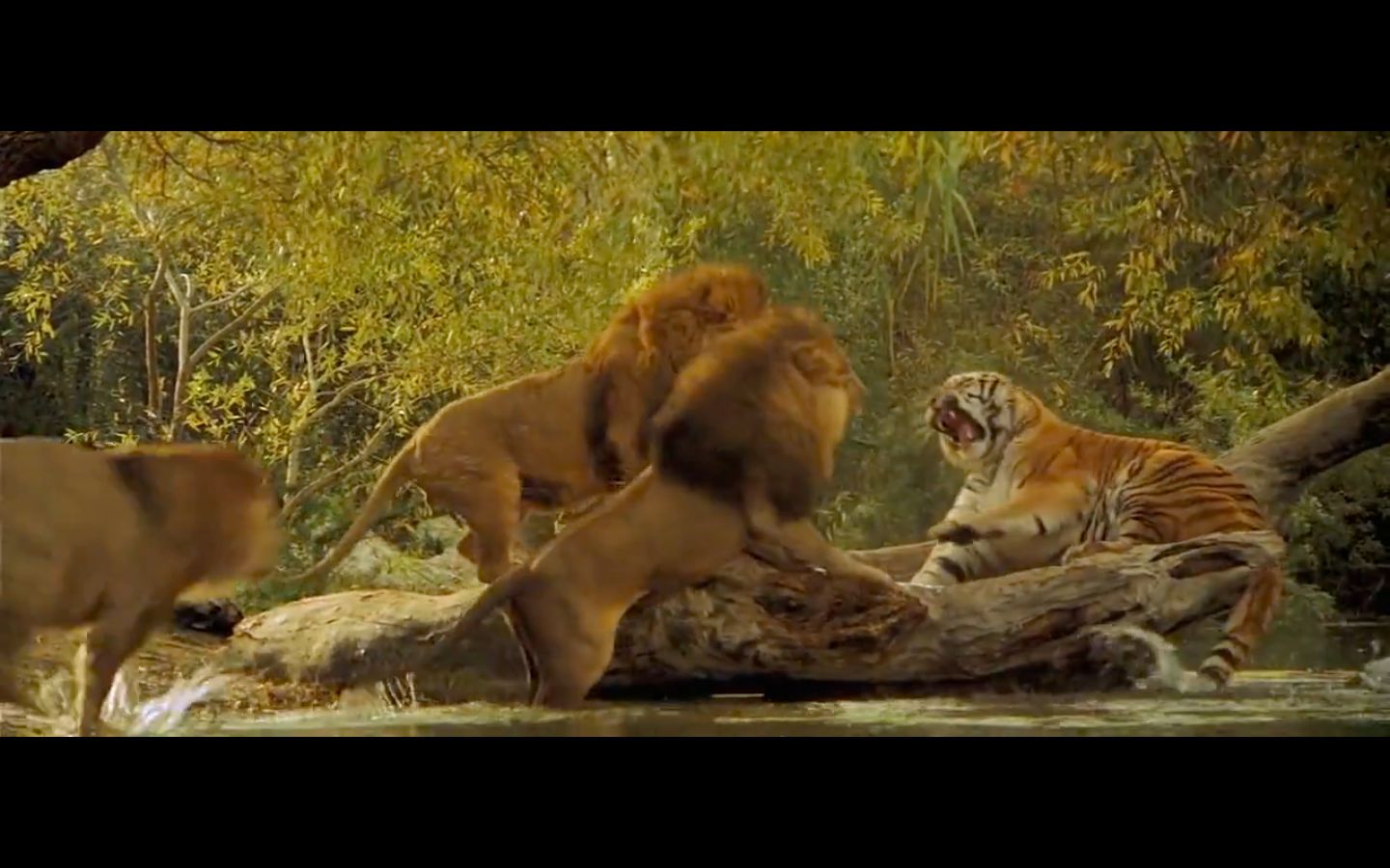 Still from Roar (Image via MX Player)