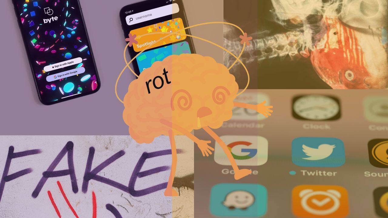 Brain-rot meme compilation via Unsplash @MarkusSiske, @charlesdeluvio, @XiaoCiu