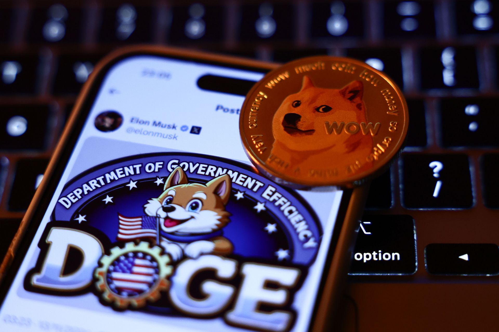 DOGE Photo Illustrations - Source: Getty