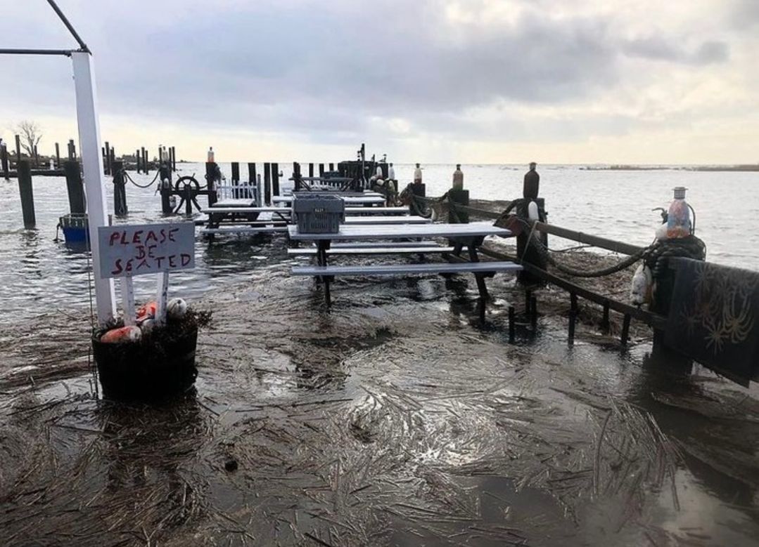 A view from Guilford Lobster Pound&#039;s (Image via Instagram/@guilfordlobsterpound)