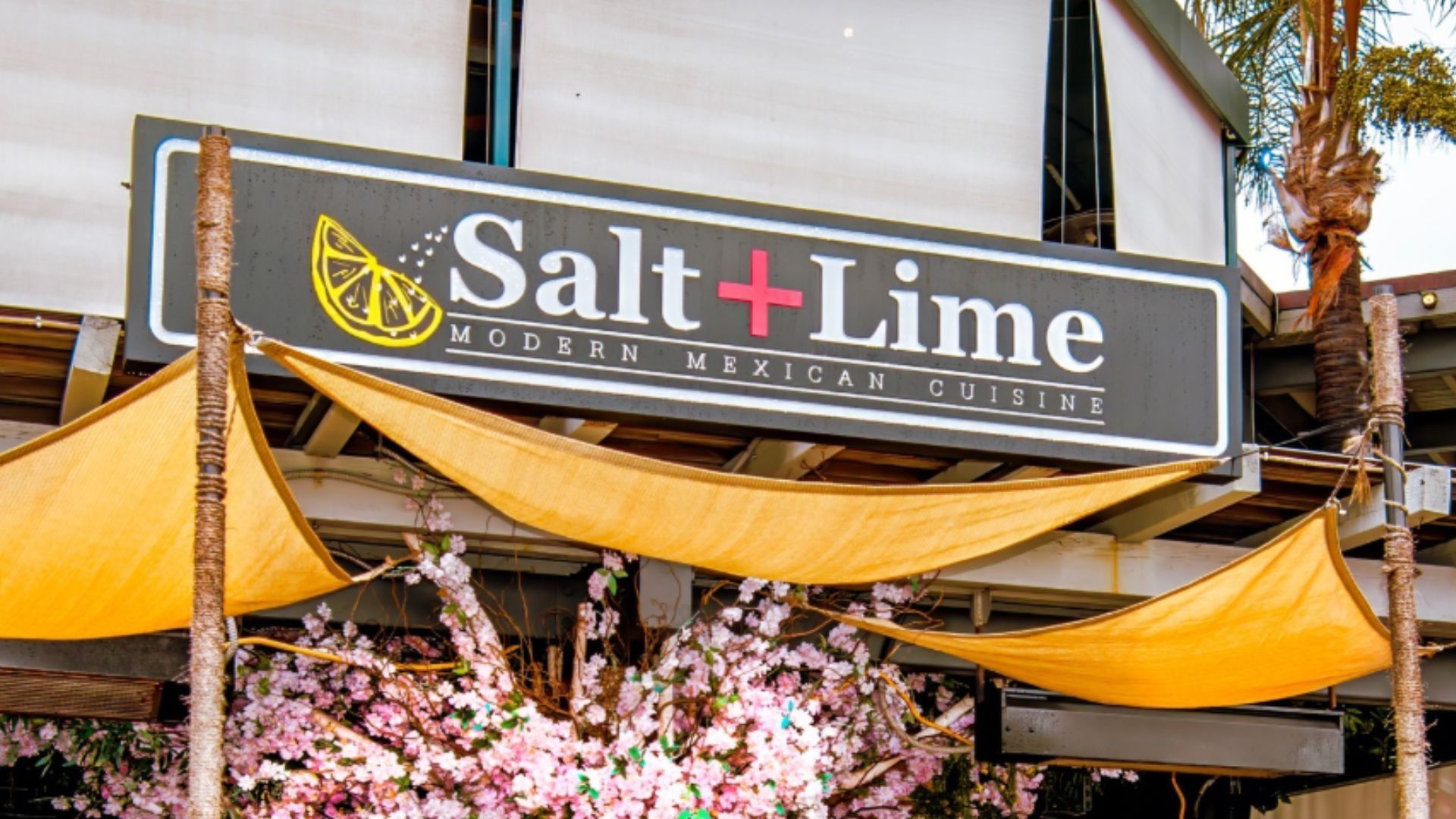 Salt + Lime (Image via Instagram)