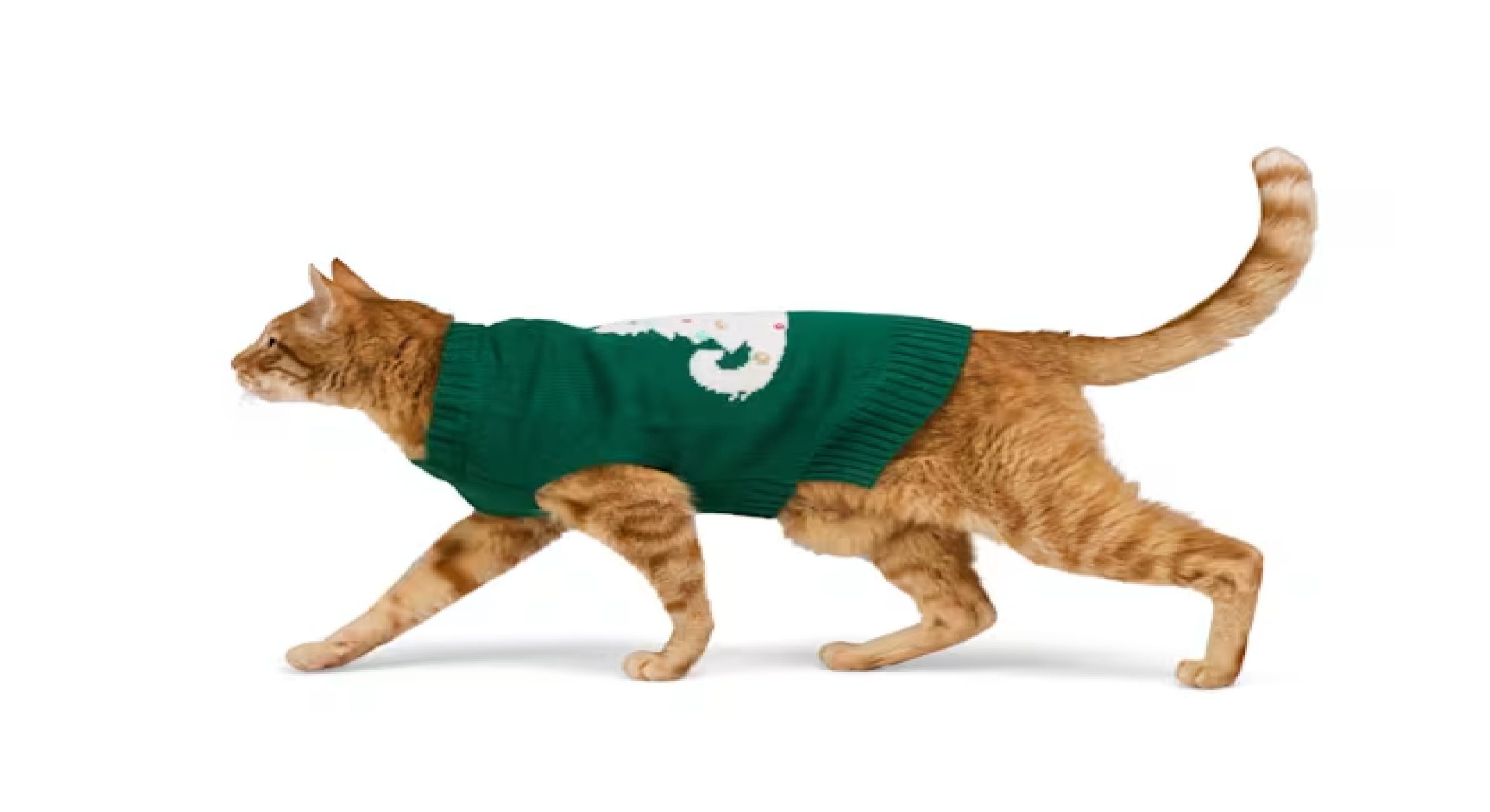 Sweater (Image via Petco)