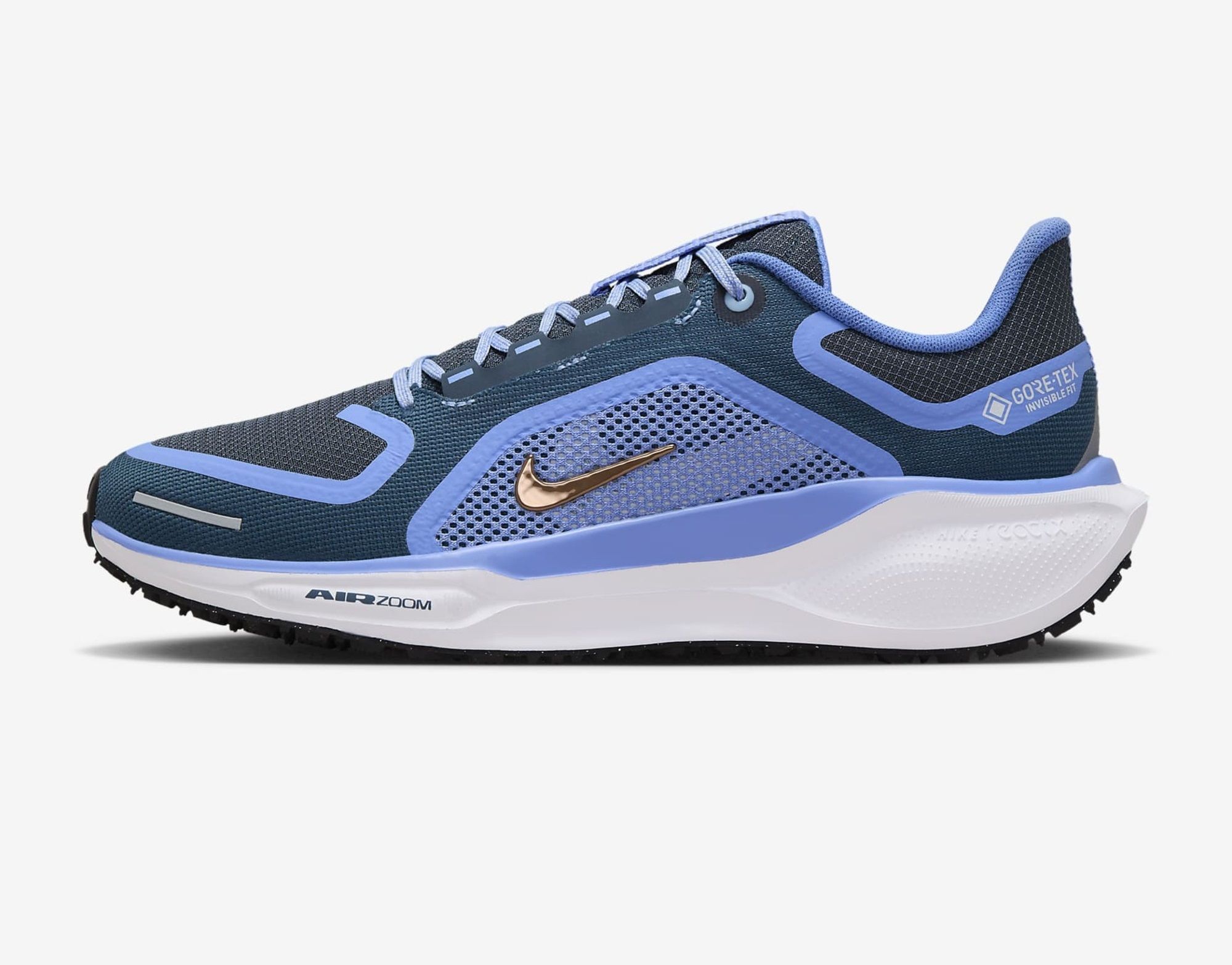 Nike Pegasus 41 GORE-TEX for $160 (Image via Nike)