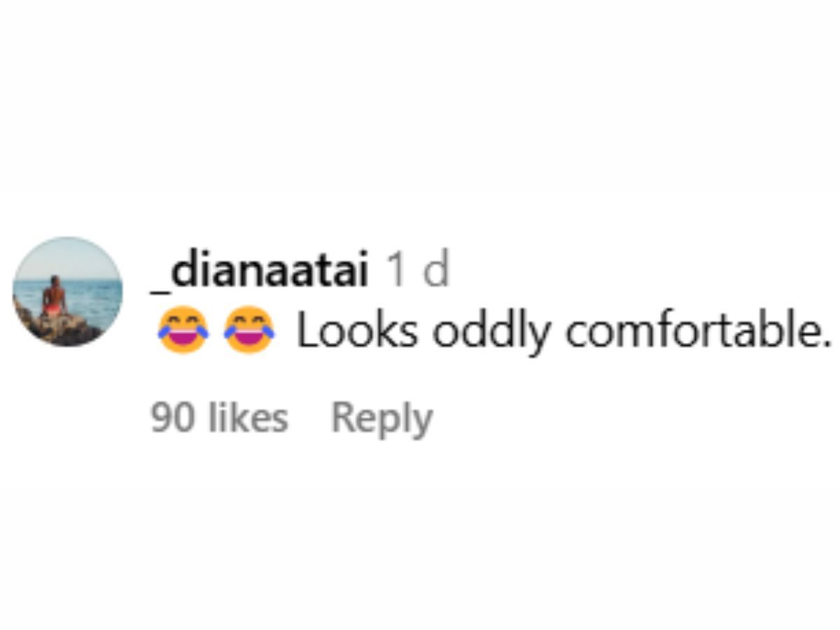 &quot;Looks oddly comfortable&quot; @xyz user commented under Serena&#039;s post (Image via @serenawilliams / Instagram)